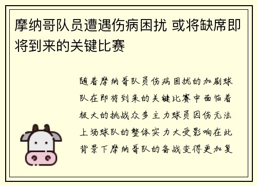 摩纳哥队员遭遇伤病困扰 或将缺席即将到来的关键比赛