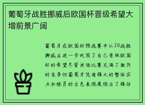 葡萄牙战胜挪威后欧国杯晋级希望大增前景广阔